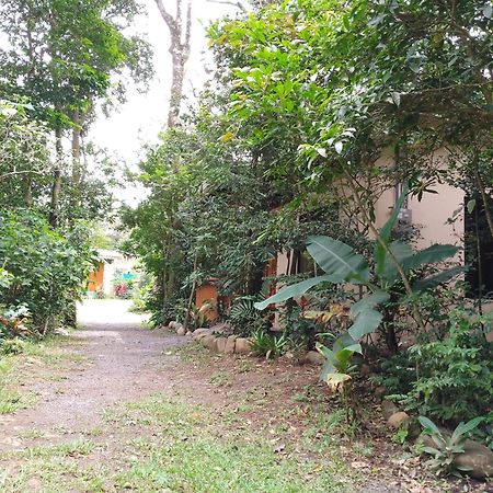 Casitas Del Bosque Monteverde. Rum bild