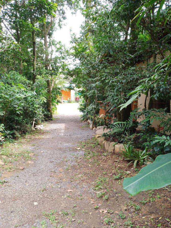 Casitas Del Bosque Monteverde. Exteriör bild