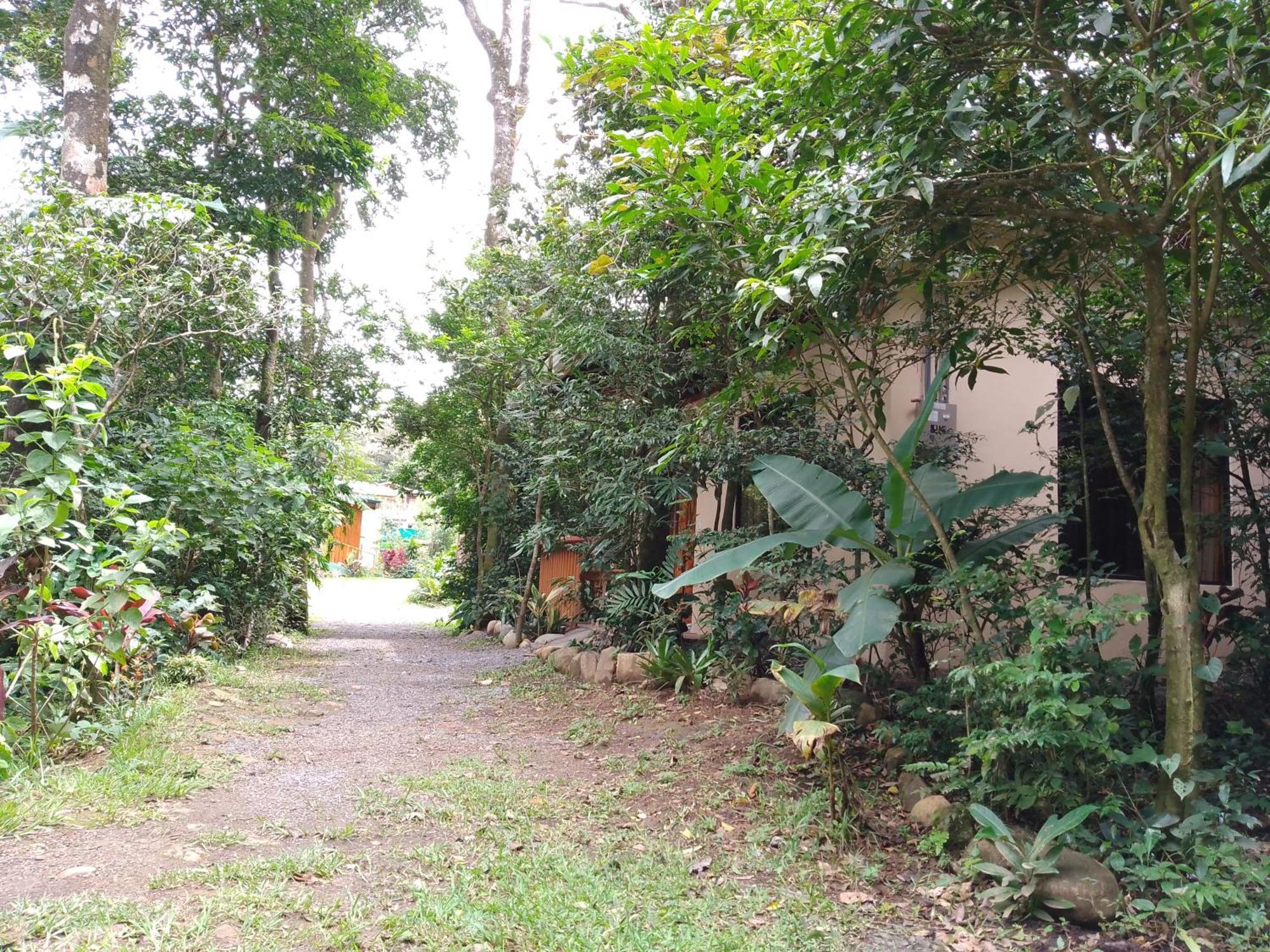 Casitas Del Bosque Monteverde. Rum bild